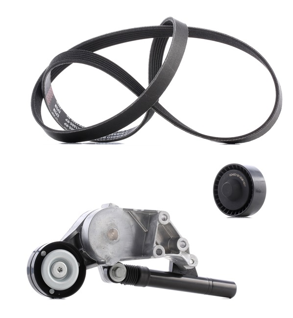 Achetez des Jeu de courroies trapézoïdales à nervures RIDEX PLUS 542R0040P à prix pour 111,85 €