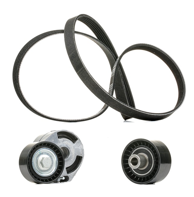Achetez des Jeu de courroies trapézoïdales à nervures RIDEX PLUS 542R0062P à prix pour 78,72 €