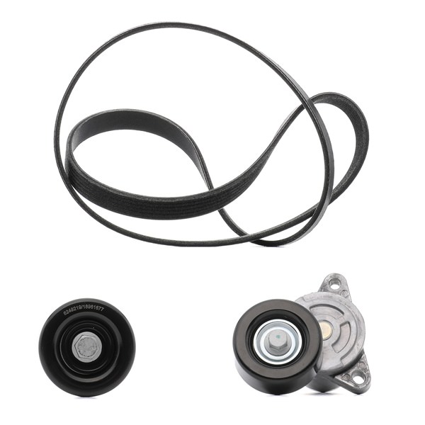 Achetez des Jeu de courroies trapézoïdales à nervures RIDEX PLUS 542R0067P à prix pour 79,82 €