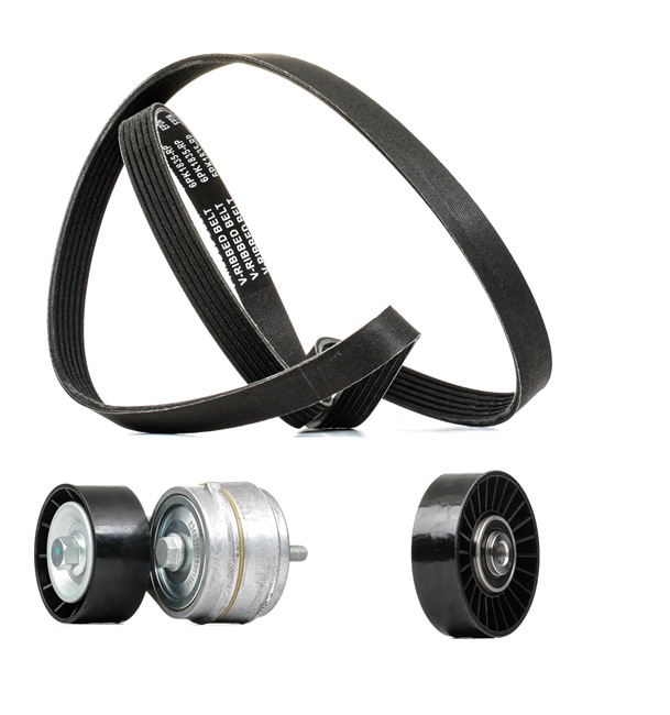 Achetez des Jeu de courroies trapézoïdales à nervures RIDEX PLUS 542R0028P à prix pour 67,71 €