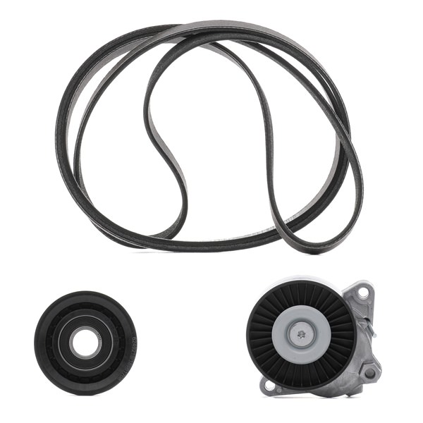 Achetez des Jeu de courroies trapézoïdales à nervures RIDEX PLUS 542R0498P à prix pour 122,21 €
