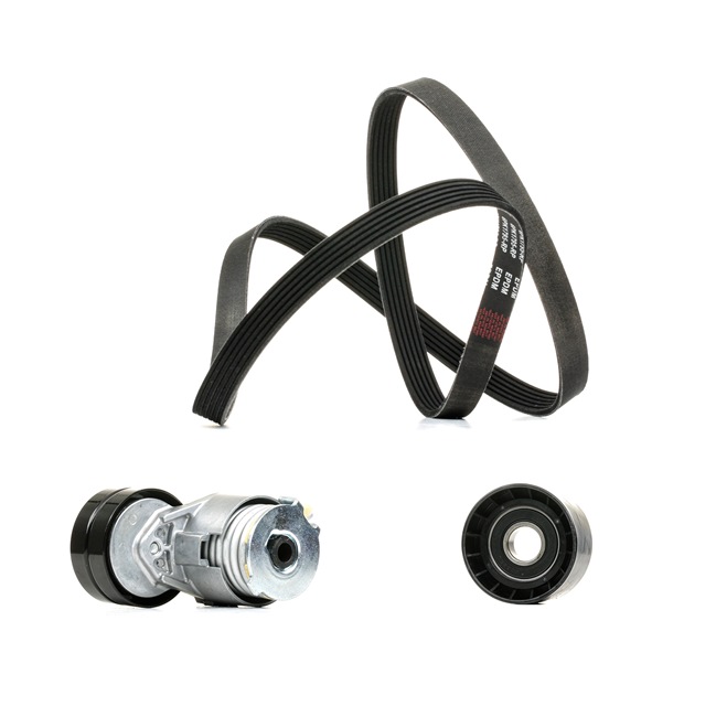 Acquista Kit Cinghie Poly-V da RIDEX PLUS 542R0020P a buon mercato per soli 76,70 €