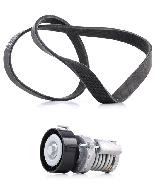 Comprar Juego de correas trapeciales poli V de RIDEX PLUS 542R0036P a bajo precio de 51,41 €