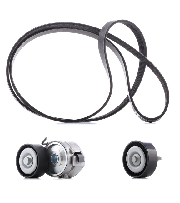 Comprar Juego de correas trapeciales poli V de RIDEX PLUS 542R0046P a bajo precio de 80,20 €