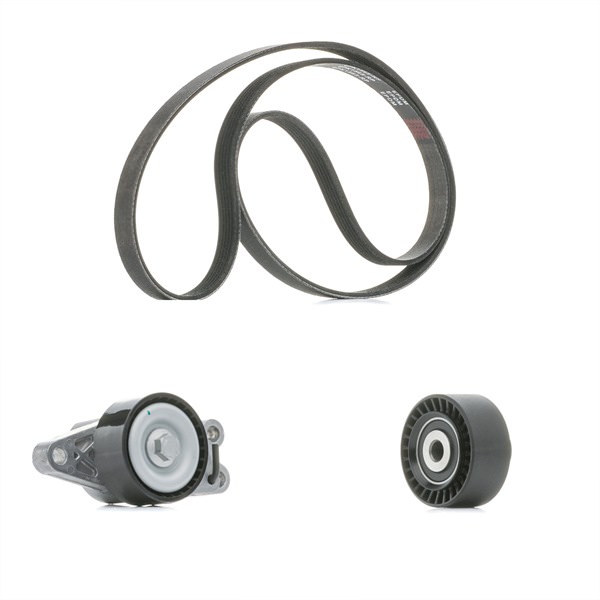 Achetez des Jeu de courroies trapézoïdales à nervures RIDEX PLUS 542R0133P à prix pour 86,65 €