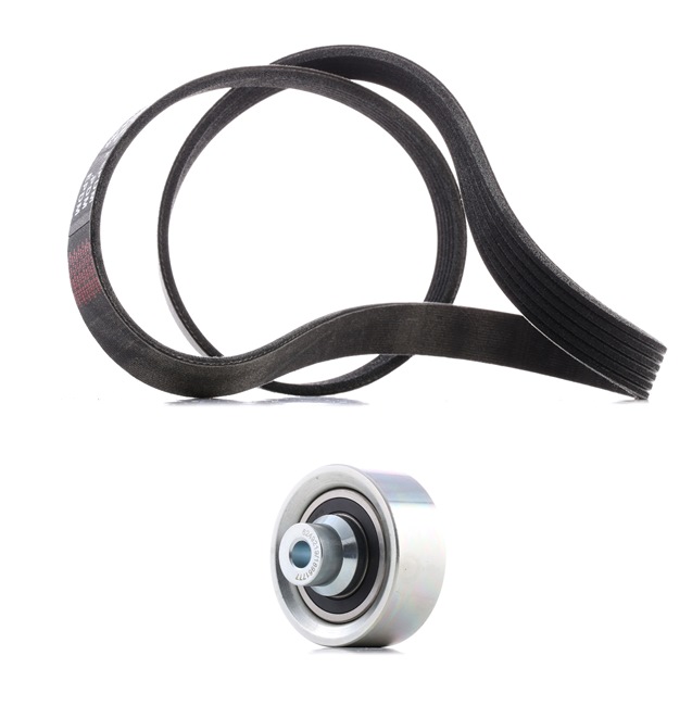 Achetez des Jeu de courroies trapézoïdales à nervures RIDEX PLUS 542R0003P à prix pour 49,45 €