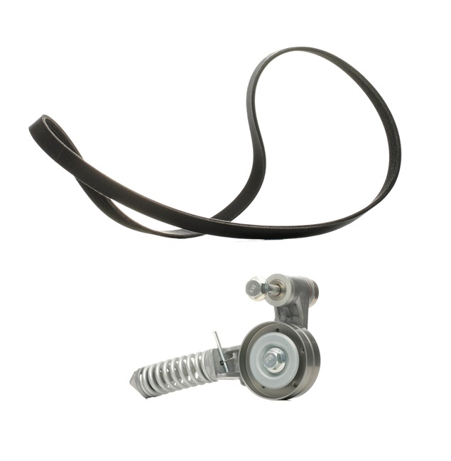 Keilrippenriemensatz von RIDEX PLUS