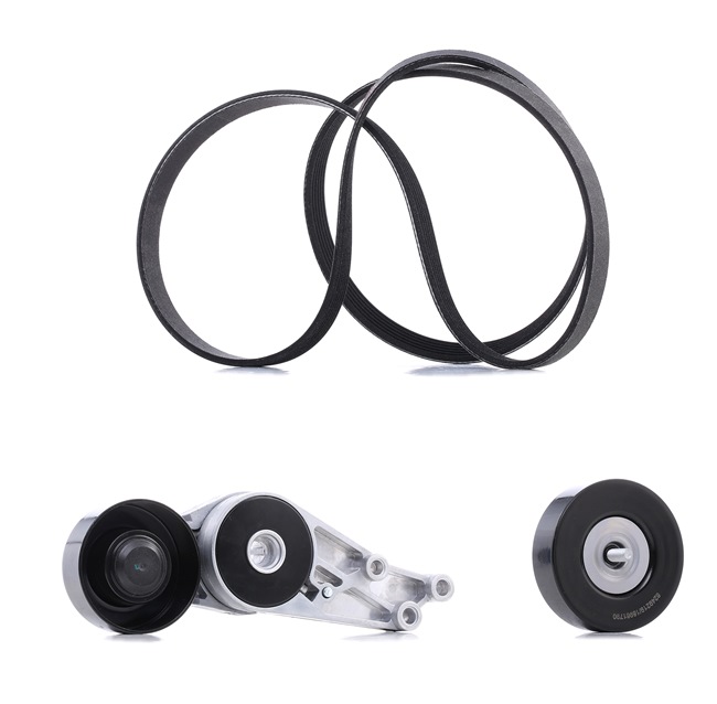 Acquista Kit Cinghie Poly-V da RIDEX PLUS 542R0594P a buon mercato per soli 90,82 €