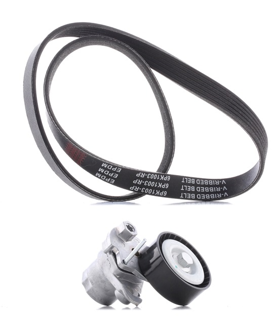 Achetez des Jeu de courroies trapézoïdales à nervures RIDEX PLUS 542R0463P à prix pour 52,91 €