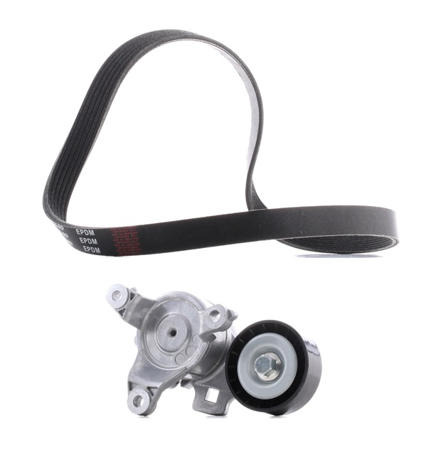Achetez des Jeu de courroies trapézoïdales à nervures RIDEX PLUS 542R0148P à prix pour 84,25 €