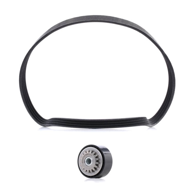 Achetez des Jeu de courroies trapézoïdales à nervures RIDEX PLUS 542R0497P à prix pour 47,68 €