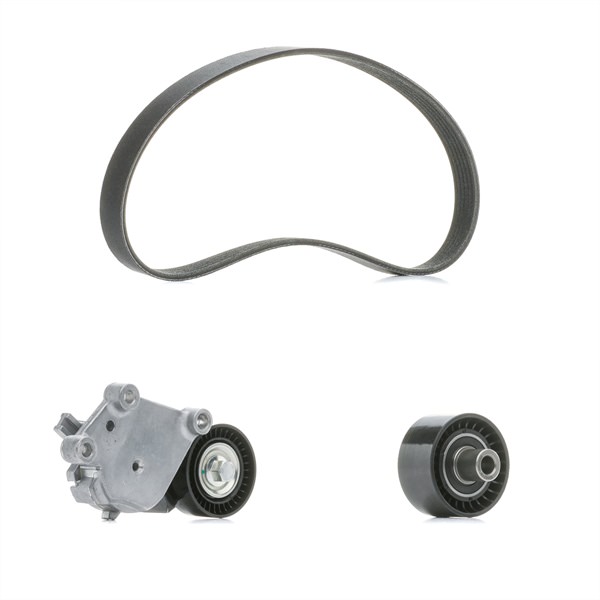 Achetez des Jeu de courroies trapézoïdales à nervures RIDEX PLUS 542R0226P à prix pour 69,02 €