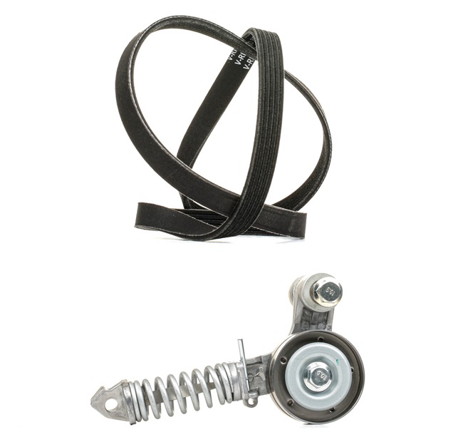 Achetez des Jeu de courroies trapézoïdales à nervures RIDEX PLUS 542R0313P à prix pour 69,98 €