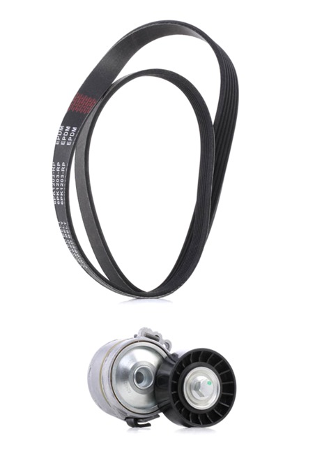 Achetez des Jeu de courroies trapézoïdales à nervures RIDEX PLUS 542R0150P à prix pour 48,31 €