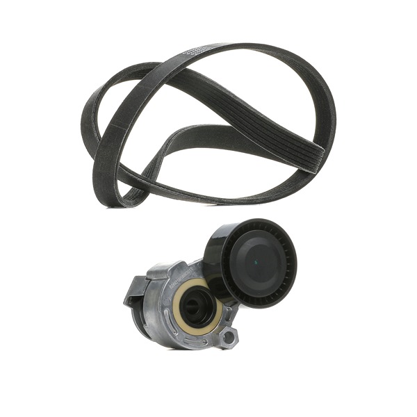 Achetez des Jeu de courroies trapézoïdales à nervures RIDEX PLUS 542R0170P à prix pour 52,70 €