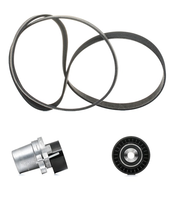Achetez des Jeu de courroies trapézoïdales à nervures RIDEX PLUS 542R0315P à prix pour 113,42 €