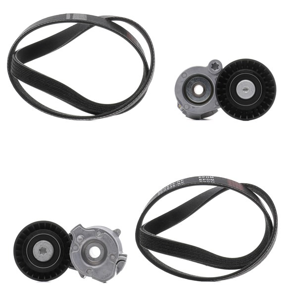 Comprar Juego de correas trapeciales poli V de RIDEX PLUS 542R0164P a bajo precio de 121,82 €