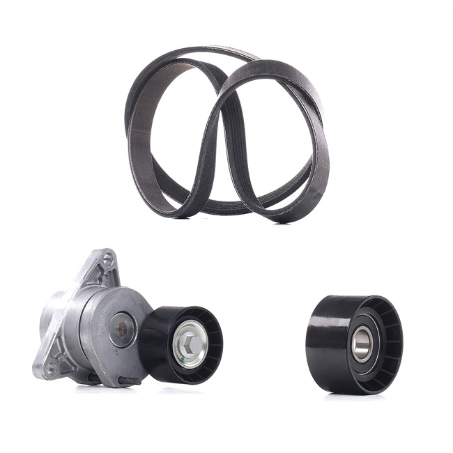 Achetez des Jeu de courroies trapézoïdales à nervures RIDEX PLUS 542R0550P à prix pour 84,48 €