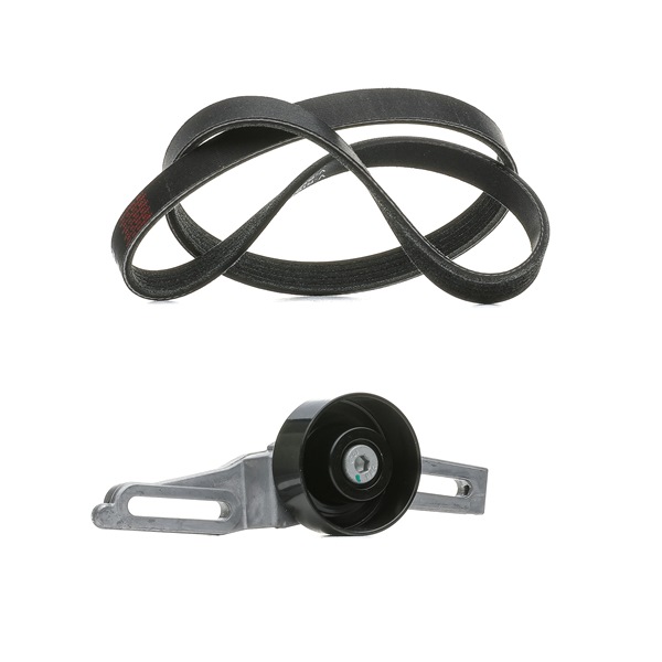 Achetez des Kit de courroie d'accessoire de chez RIDEX PLUS en ligne pour Saxo 3/5 portes (S0, S1) à prix modérés
