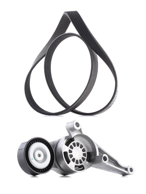 Achetez des Jeu de courroies trapézoïdales à nervures RIDEX PLUS 542R0115P à prix pour 55,97 €