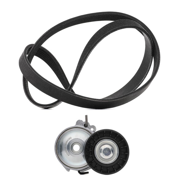 Achetez des Kit de courroie d'accessoire de chez RIDEX PLUS en ligne pour C4 I Van / 3/5 portes (LR_) à prix modérés