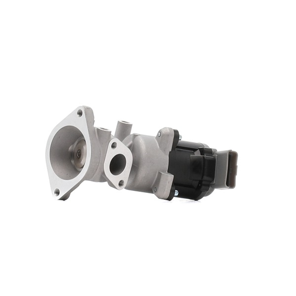 Acquista Valvola EGR da DENCKERMANN E400030 a buon mercato per soli 149,05 €