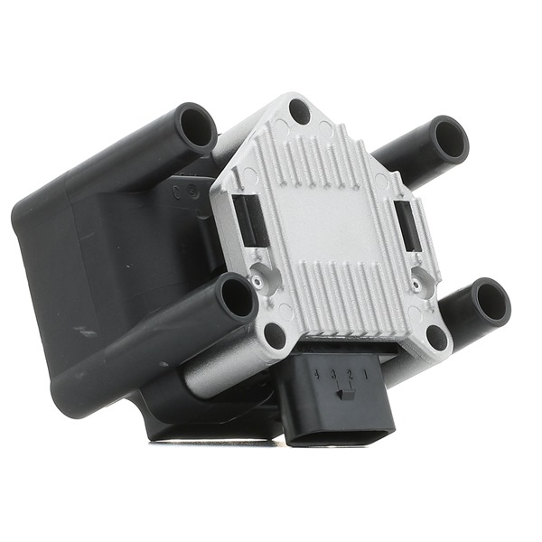 Zündspule 689C0014P