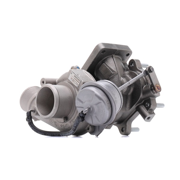 Achetez des Turbocompresseur RIDEX REMAN 2234C0402R à prix pour 246,14 €