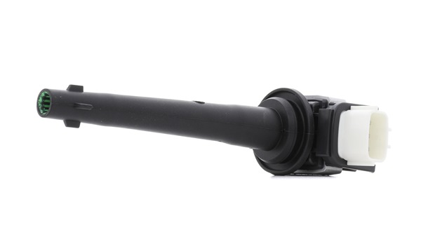 Zündspule 689C0348P