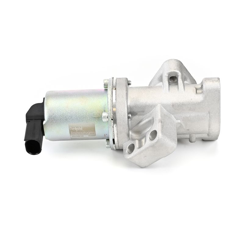 Comprar Válvula EGR de DELPHI EG10618-12B1 a bajo precio de 144,55 €