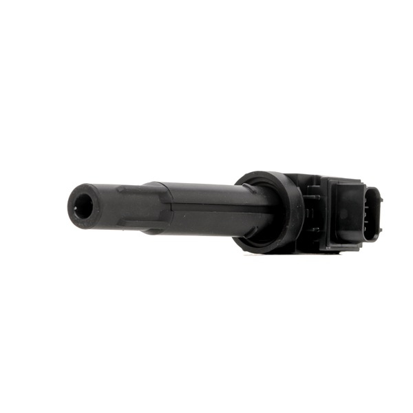 Comprar Bobina de encendido de DELPHI GN11090-12B1 a bajo precio de 45,81 €