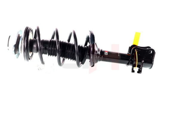 Federbein GH-355248C01 von GH günstig für 305,75 € online kaufen