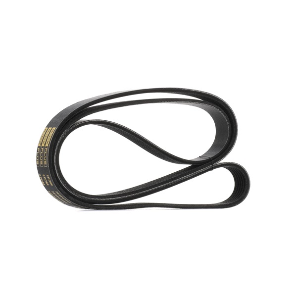 Achetez des Courroie Poly-V RIDEX PLUS 305P0308P à prix pour 17,32 €