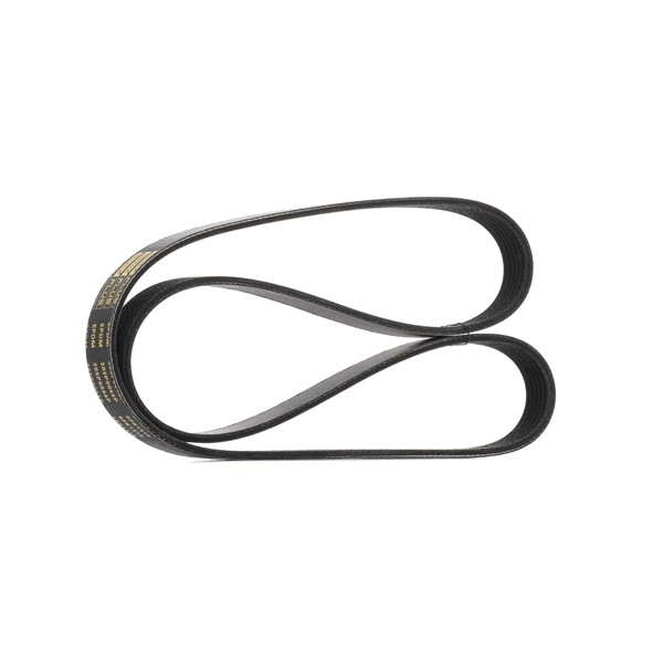 Keilrippenriemen 305P0066P von RIDEX PLUS günstig für 13,67 € online kaufen