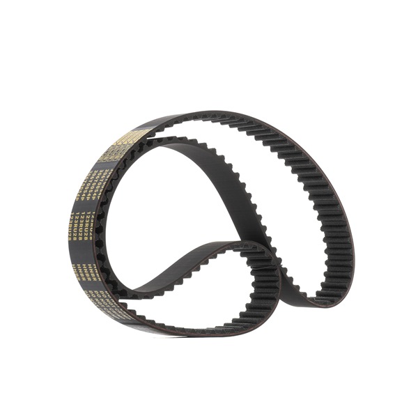 Zahnriemen 306T0054P