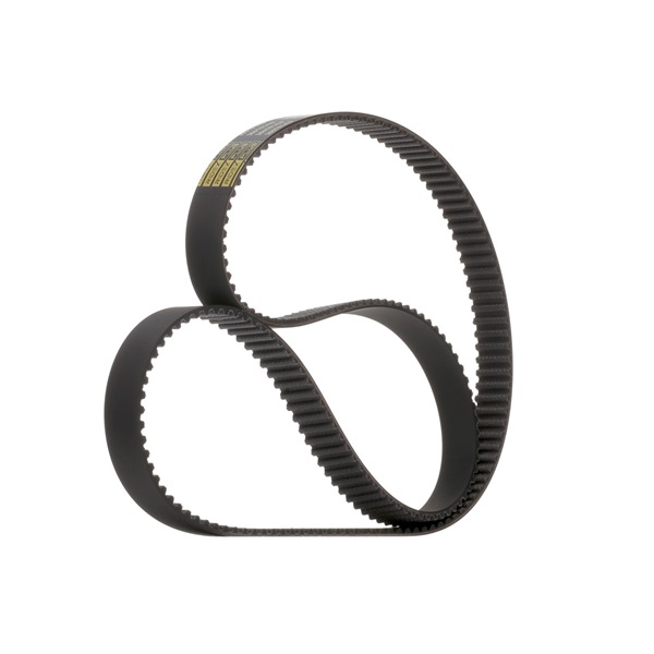 Zahnriemen 306T0147P