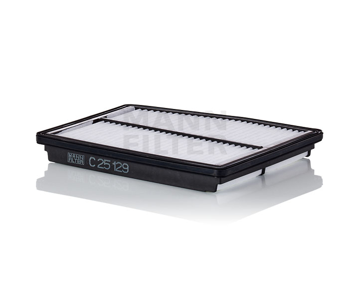 Köp Luftfilter av MANN-FILTER C 25 129 till det låga priset 311,01 kr
