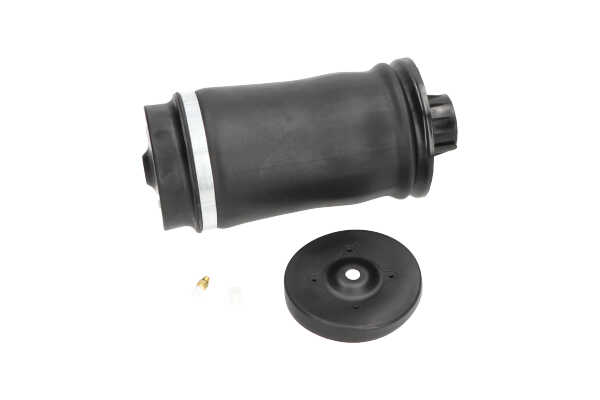 Compre Mola pneumática da KAVO PARTS SAS-10006 a um preço baixo por 120,31 €