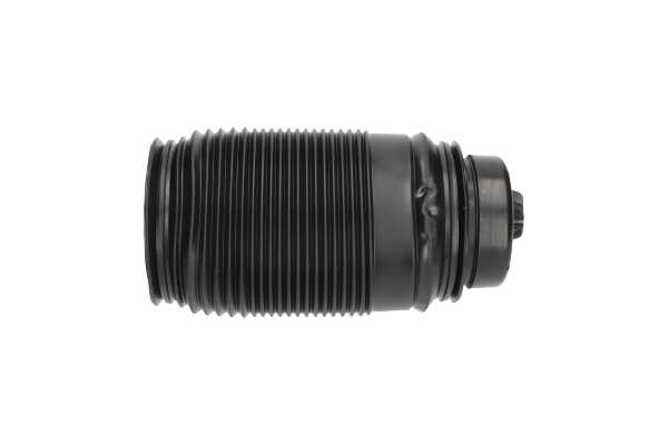 Compre Mola pneumática da KAVO PARTS SAS-10014 a um preço baixo por 240,50 €