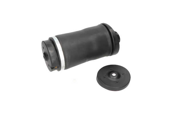 Acquista Soffietto, sospensione pneumatica da KAVO PARTS online per Classe R (W251, V251) a prezzi moderati