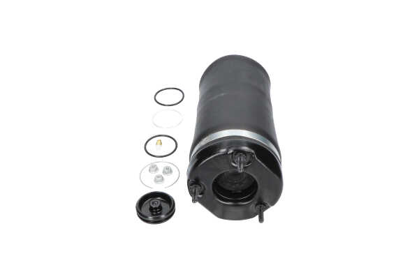Compre Mola pneumática da KAVO PARTS SAS-10031 a um preço baixo por 207,90 €