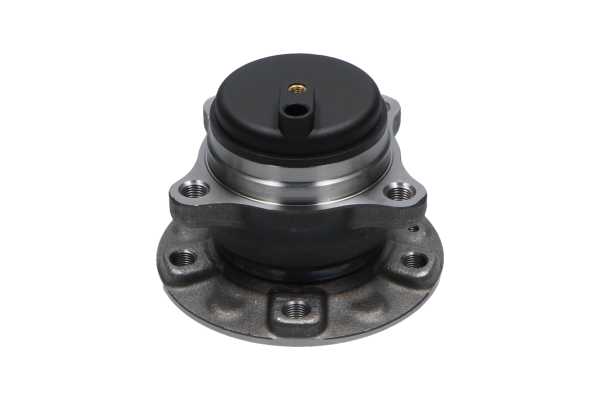 Radlagersatz WBK-10077 von KAVO PARTS günstig für 98,32 € online kaufen