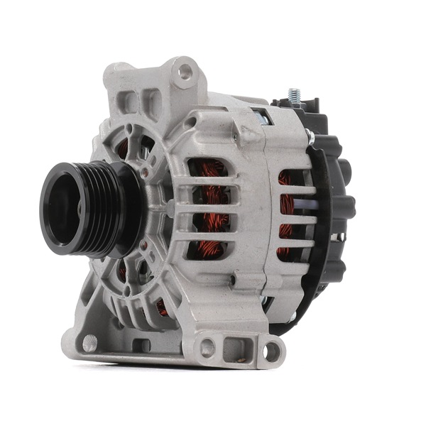 Lichtmaschine 555.560.090.000
