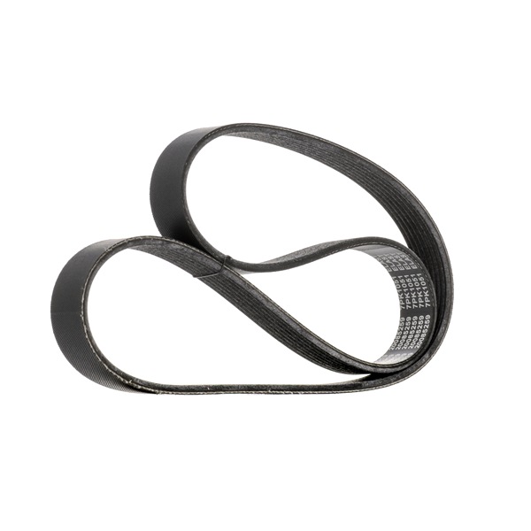 Osta Moniurahihna RIDEX:llä 305P0655 edullisesti hintaan 24,72 €