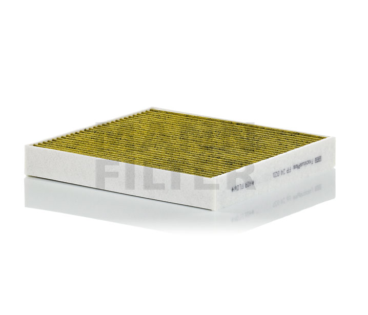 Innenraumfilter FP 24 021