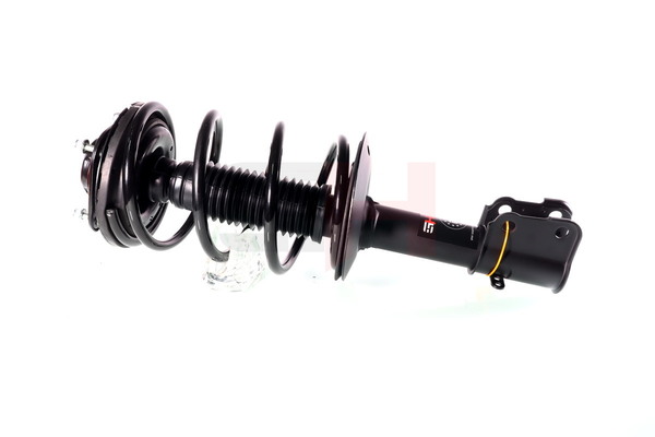 Federbein GH-359366C01 von GH günstig für 220,29 € online kaufen