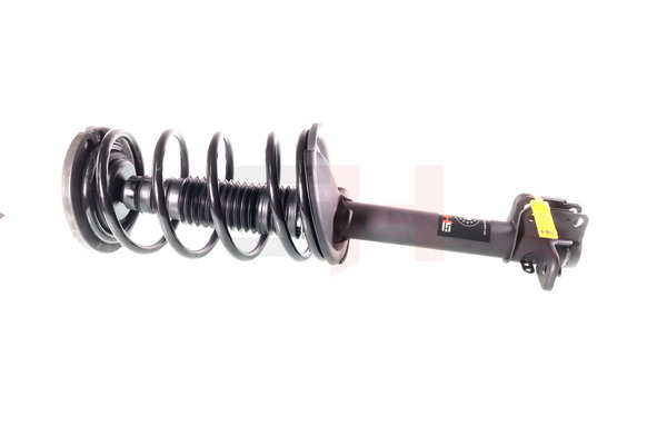Federbein GH-359367C01 von GH günstig für 249,07 € online kaufen