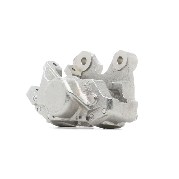 Bremssattel 78B2133R