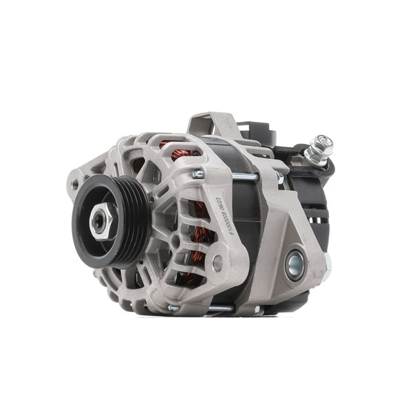 Lichtmaschine 4G1009R