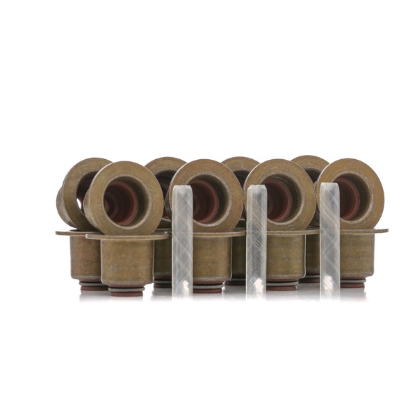 Dichtungssatz, Ventilschaft 530.070 für MINI